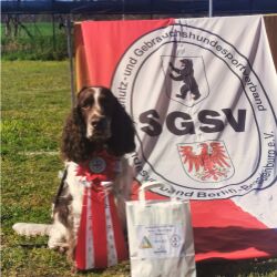 LM Obedience 30.04.2023